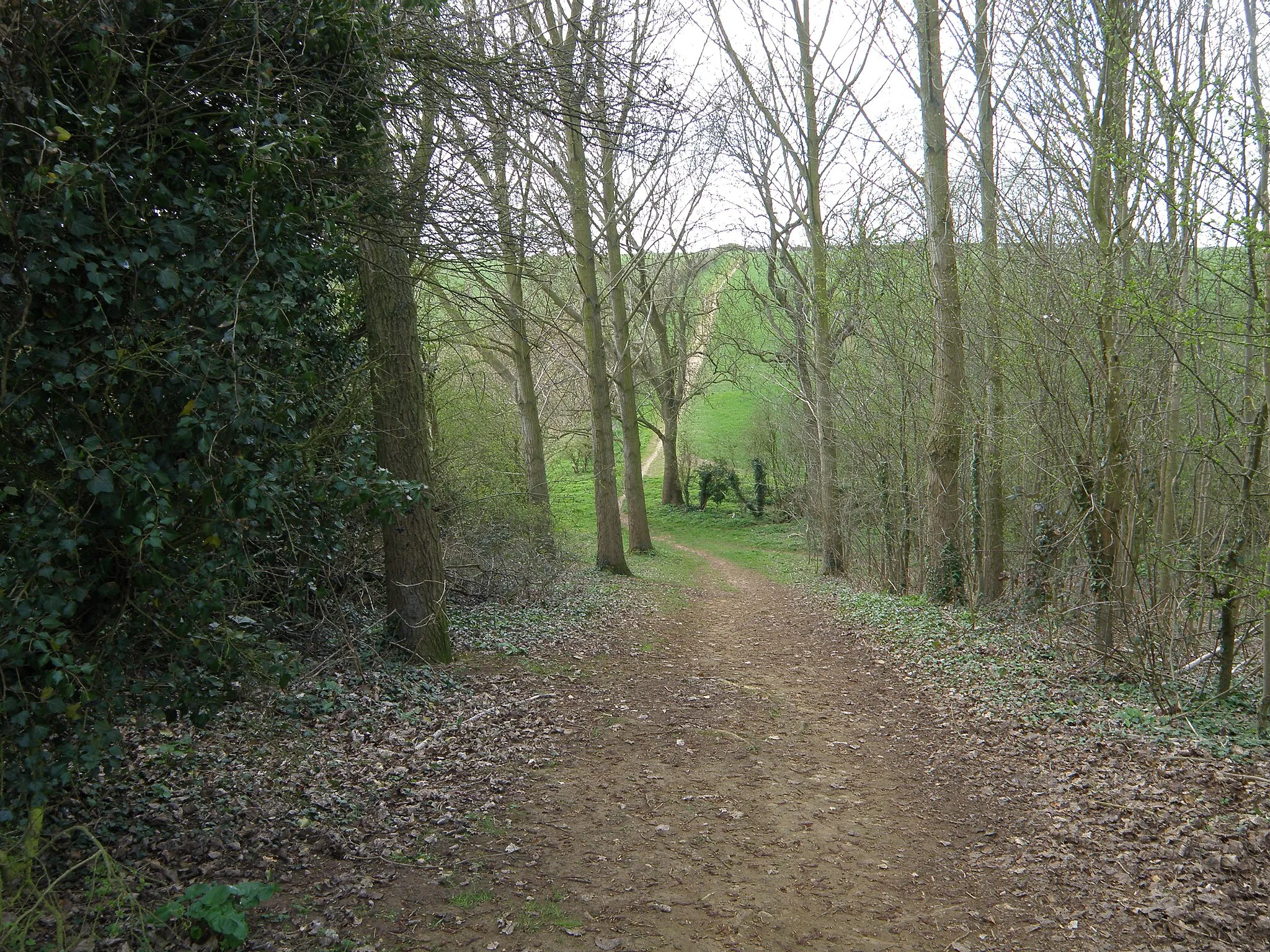Photo showing: Jurassic Way between East Carlton and Wilbarston