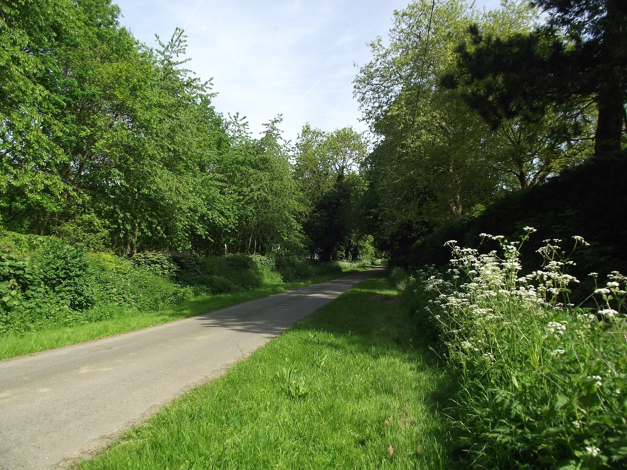 Photo showing: Barley Lane and Foston Wood