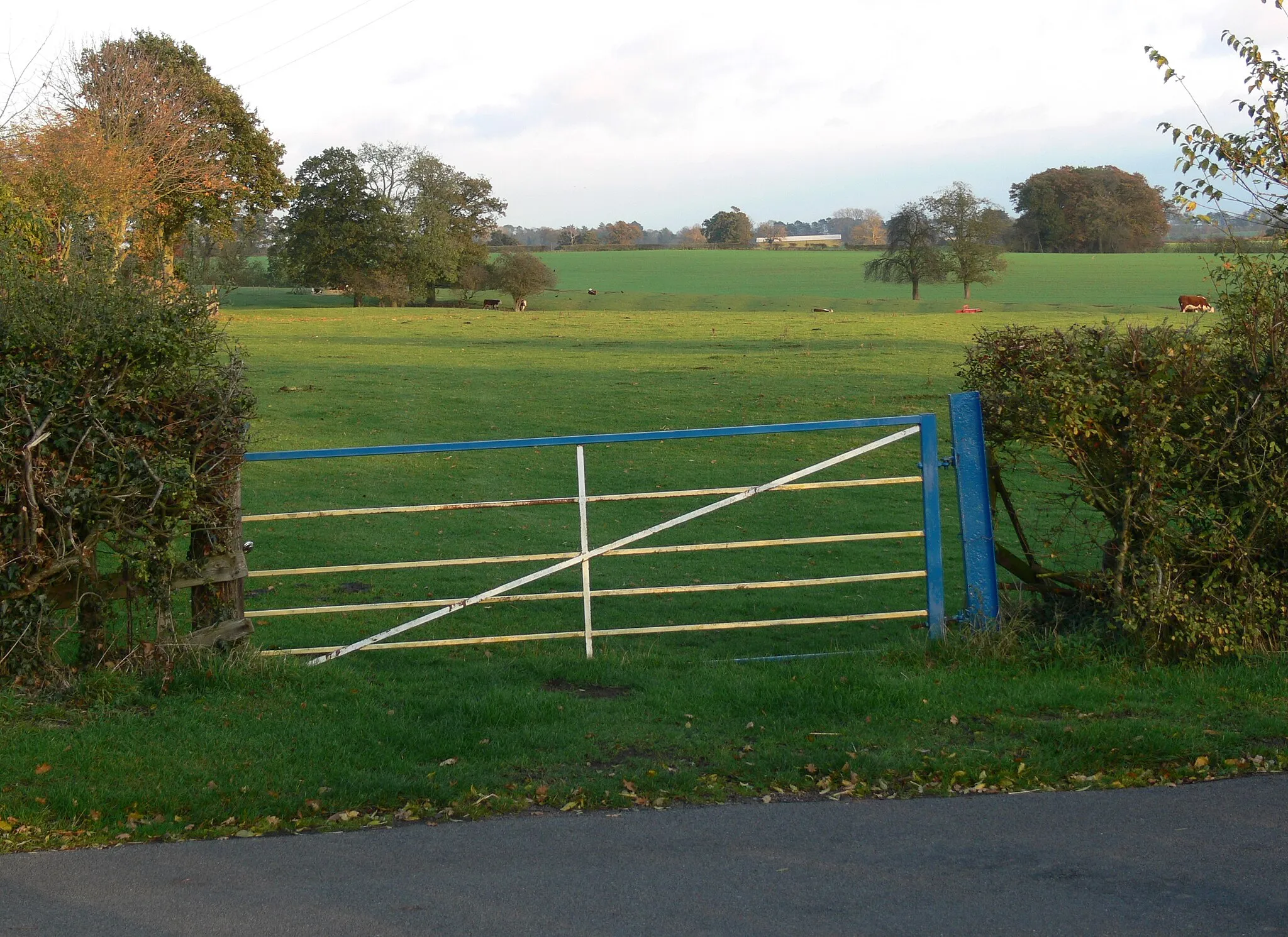 Photo showing: Farmland south of Newton Harcourt