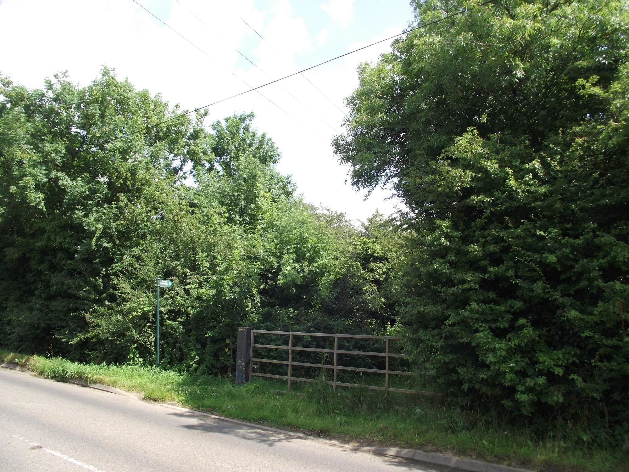 Photo showing: Bridleway from Forest Road to Narborough