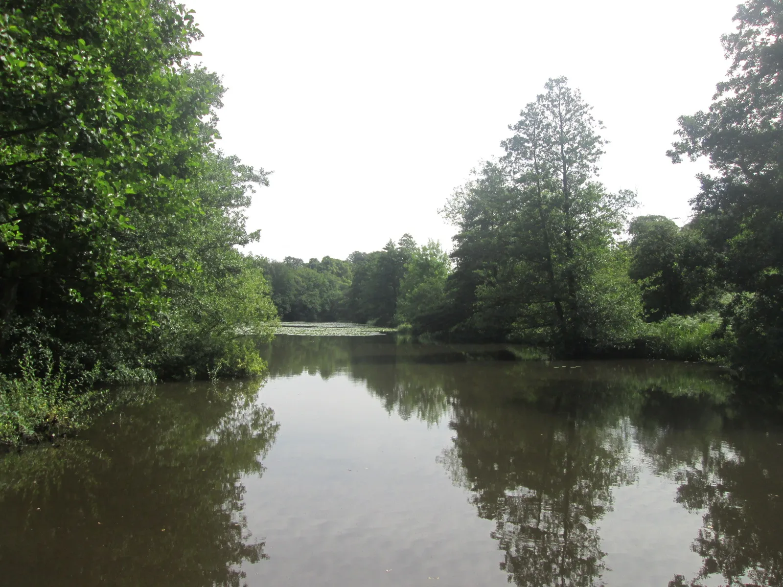 Photo showing: Betty's Pond, Calke Park