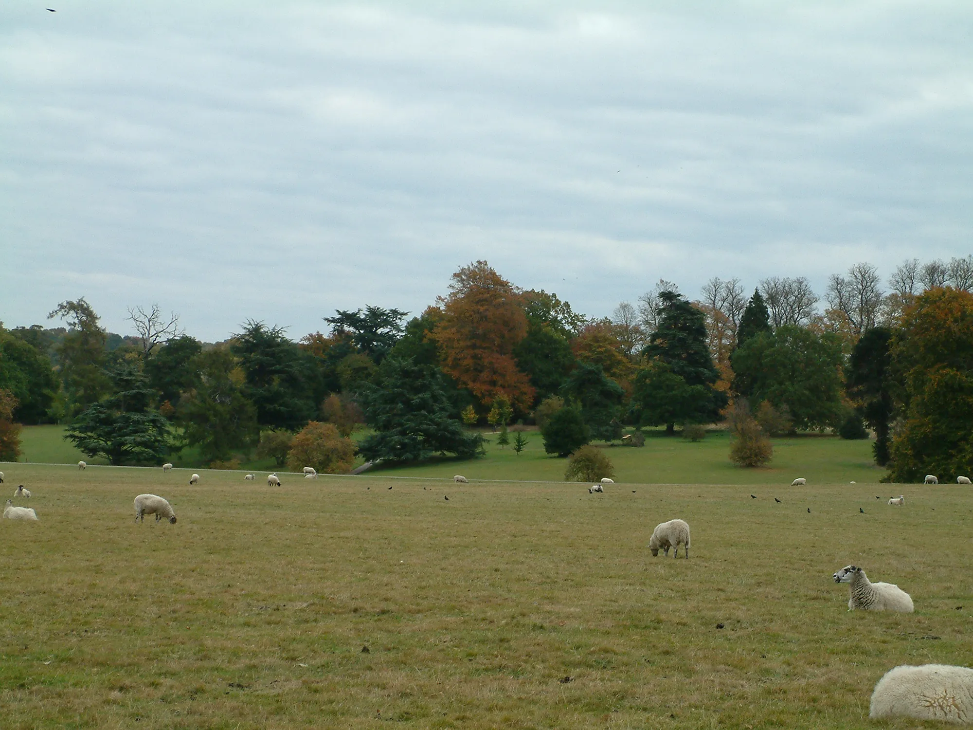 Photo showing: Autumn at Calke Abbey