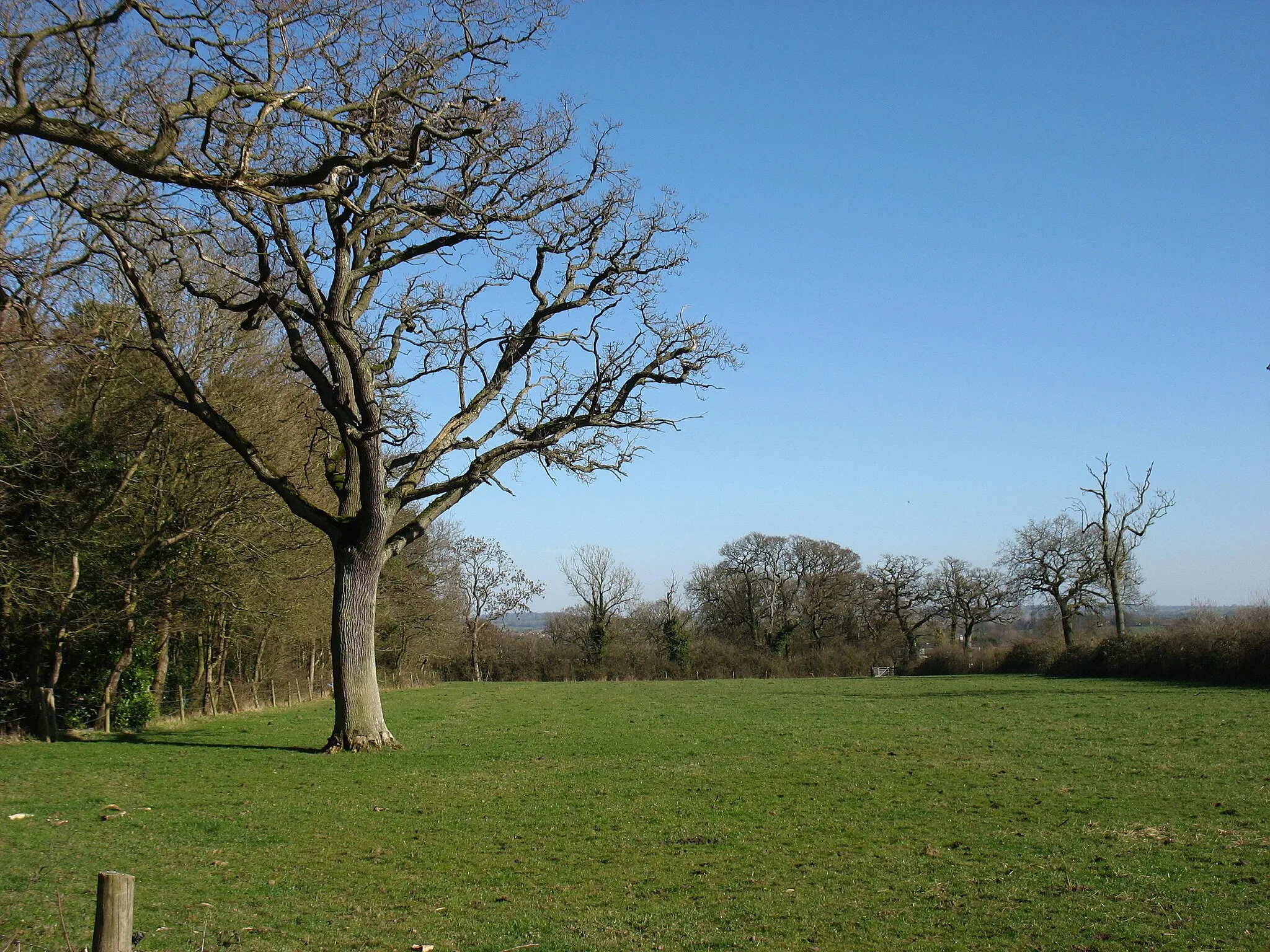 Photo showing: A field near Bascote Heath