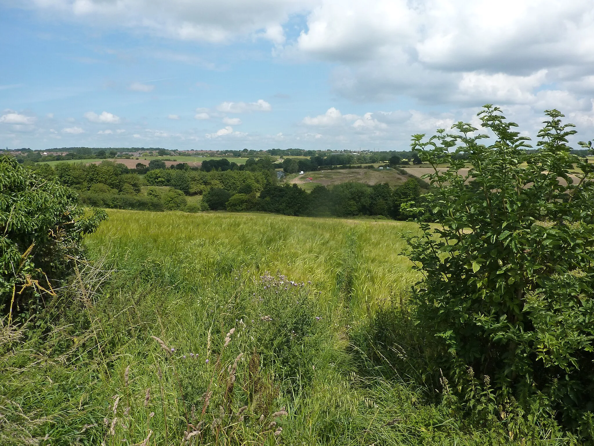 Photo showing: Bit of wasteland in farmland, Chaddesden, Derby