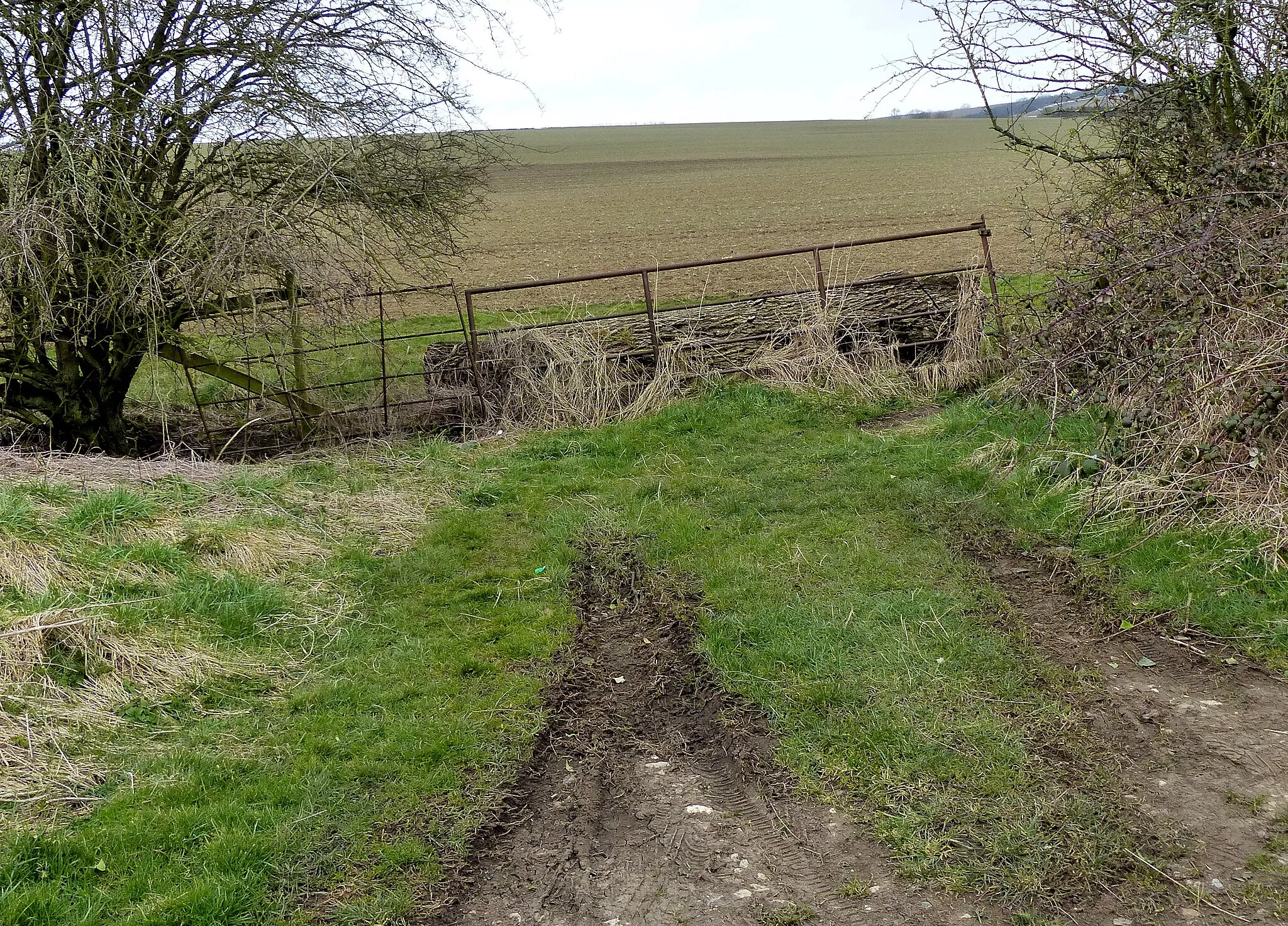 Photo showing: Blocked off gate to farmland