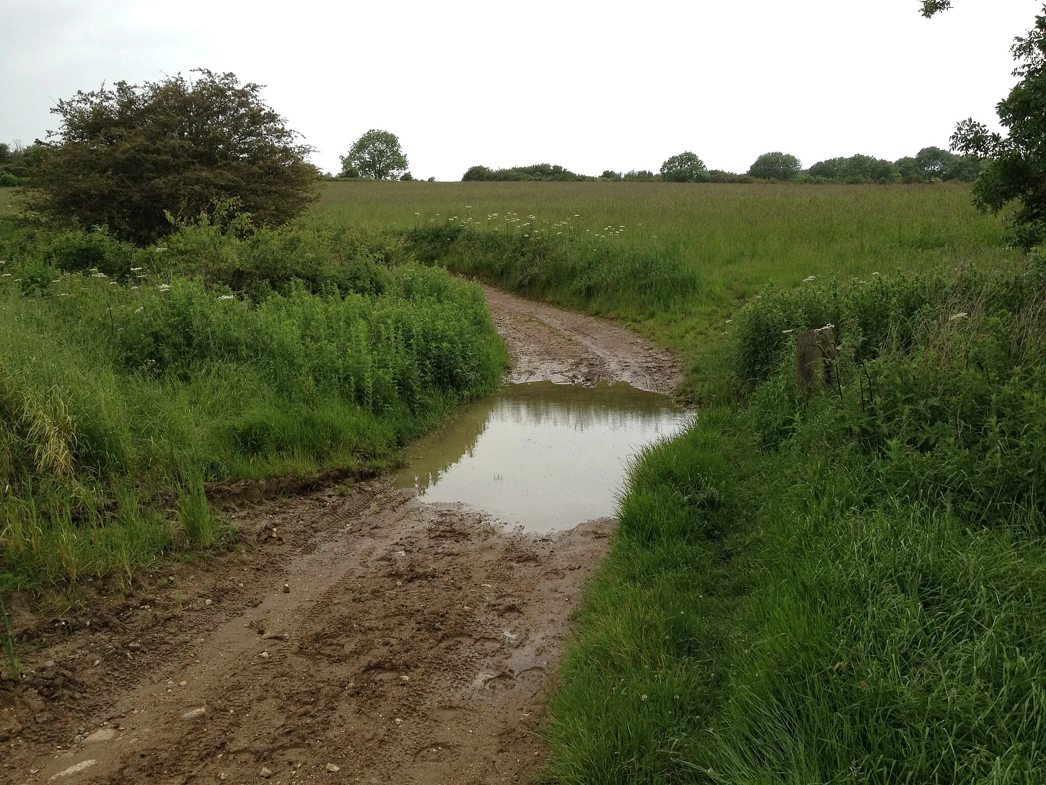 Photo showing: Byway Ford on Marefield Lane