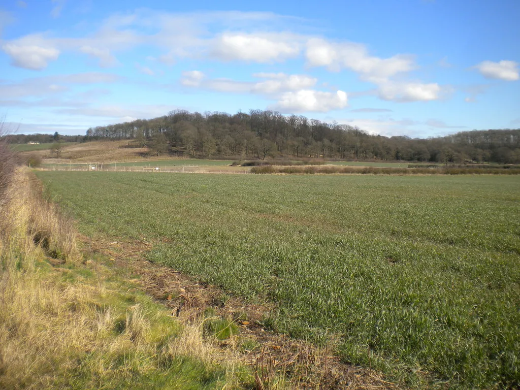 Photo showing: Across the fields towards Ash Spinney (1)