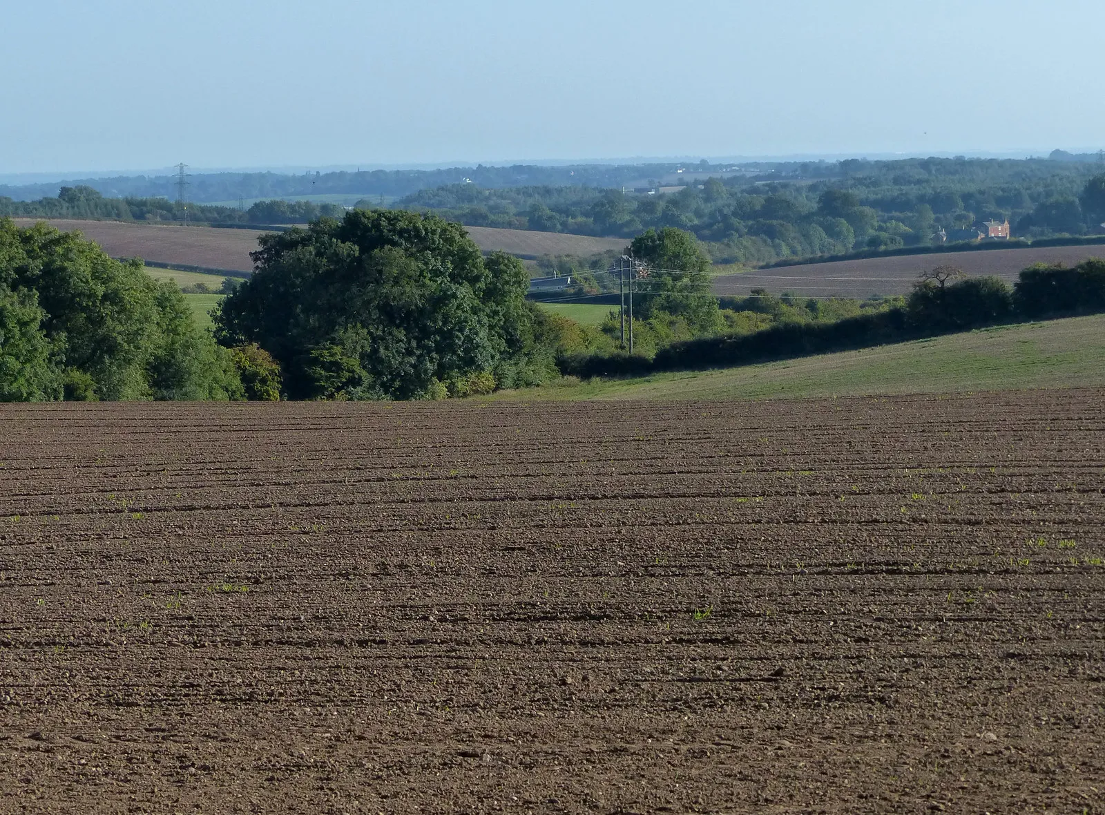 Photo showing: Charnwood Forest countryside view