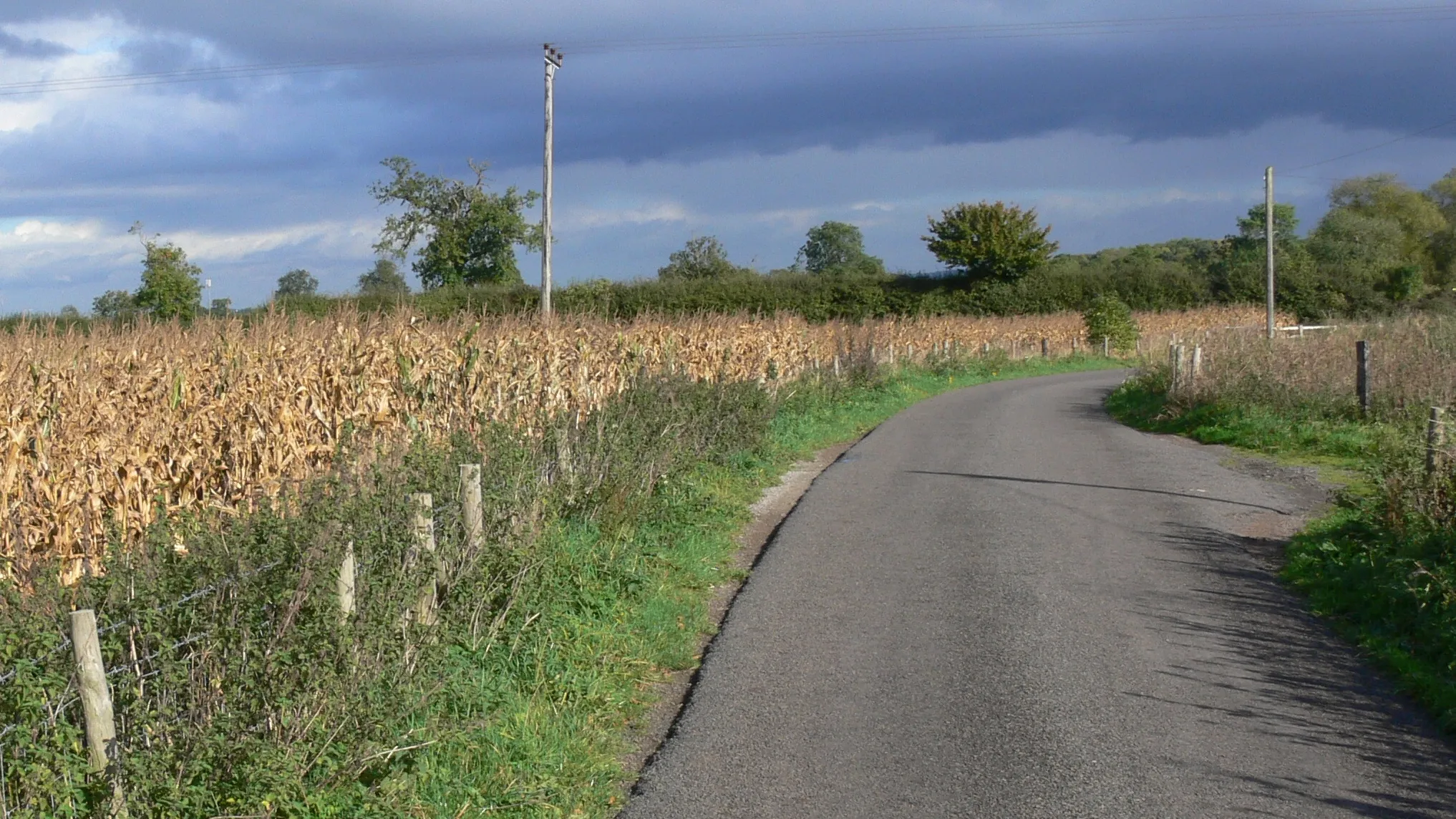 Photo showing: Lubbesthorpe Bridle Road