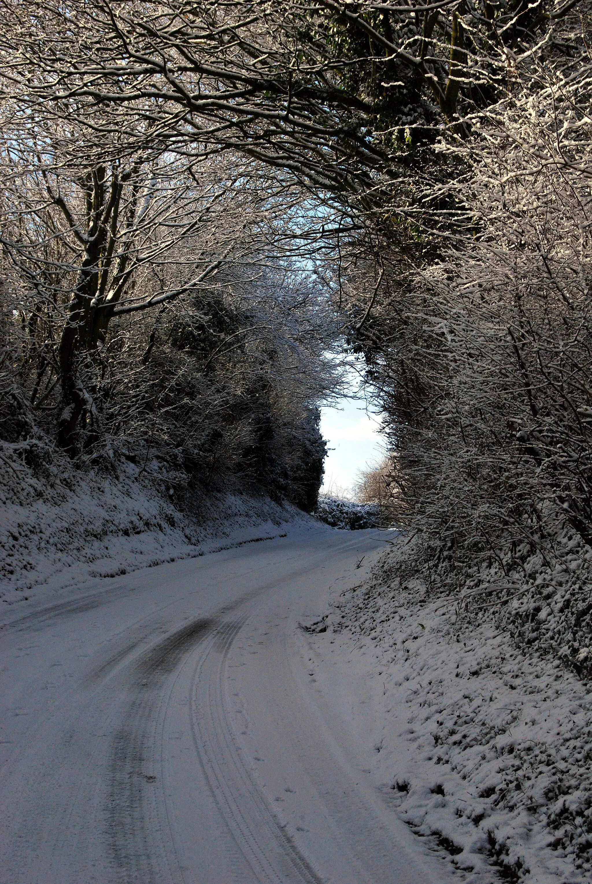 Photo showing: The pretty lane approaching Clipston on the Wolds from the north.