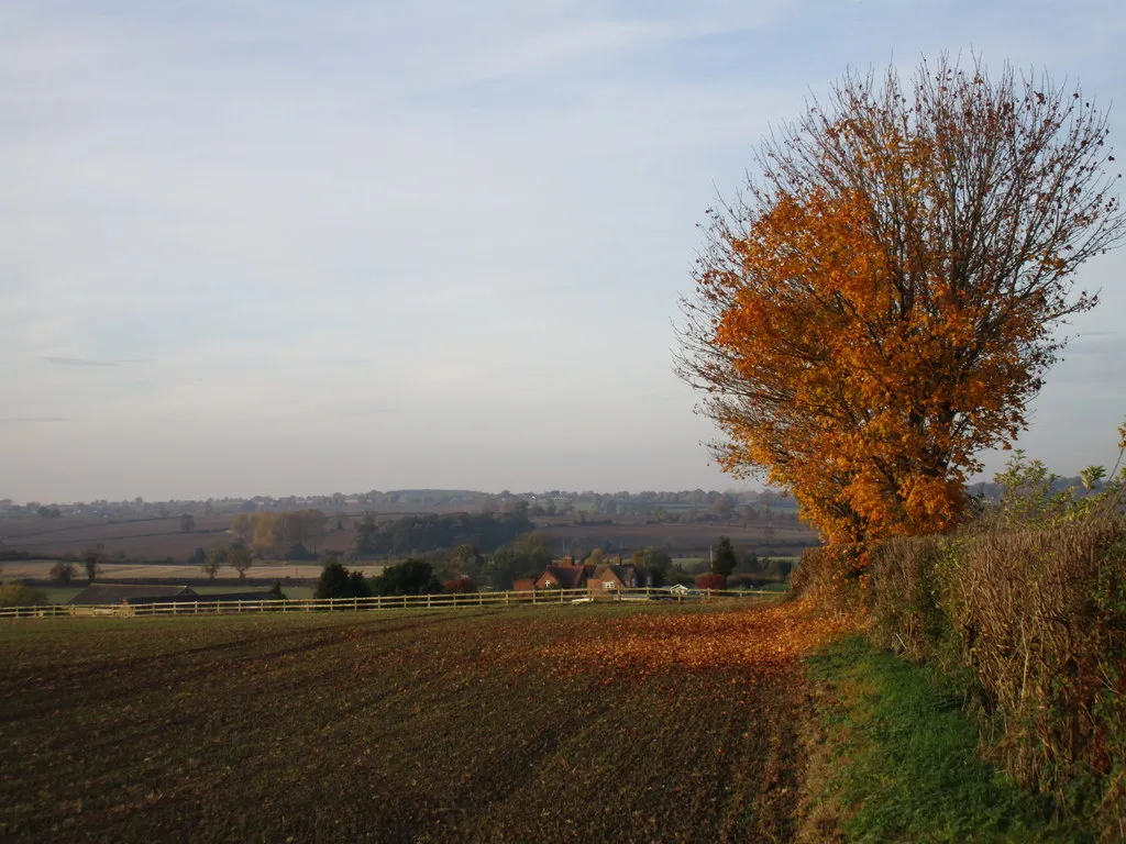 Photo showing: Autumn at Astwell