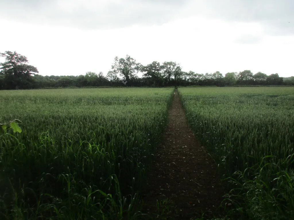 Photo showing: Footpath to Old Park Farm