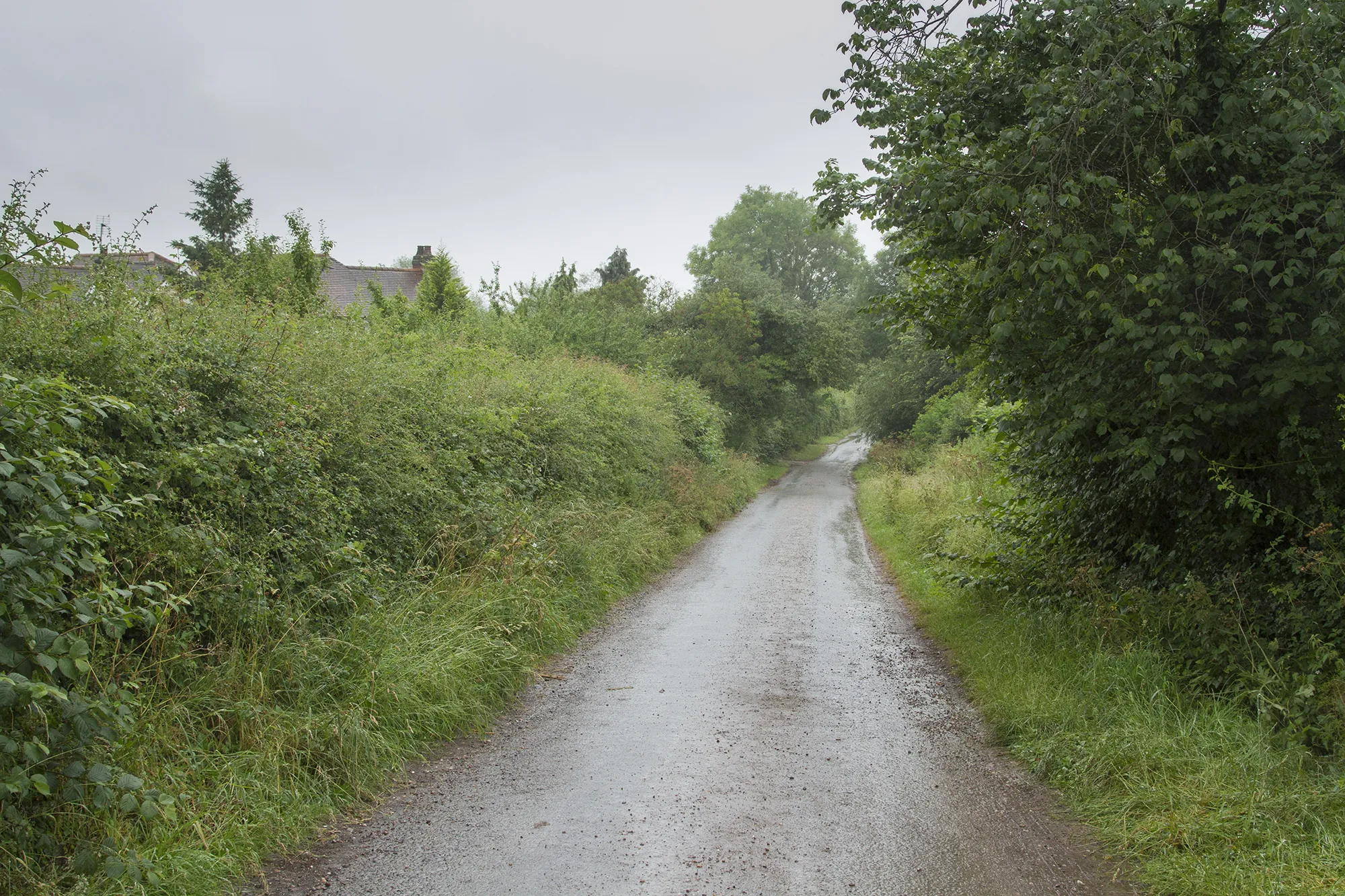 Photo showing: A country lane