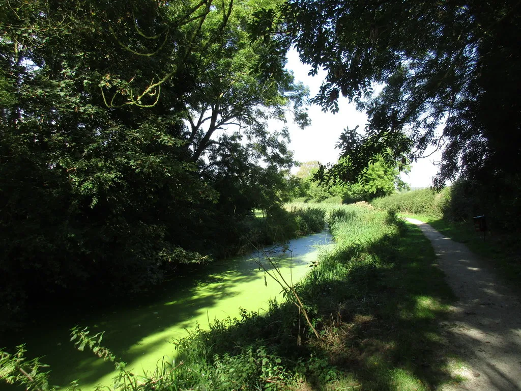 Photo showing: The Grantham Canal at Kinoulton