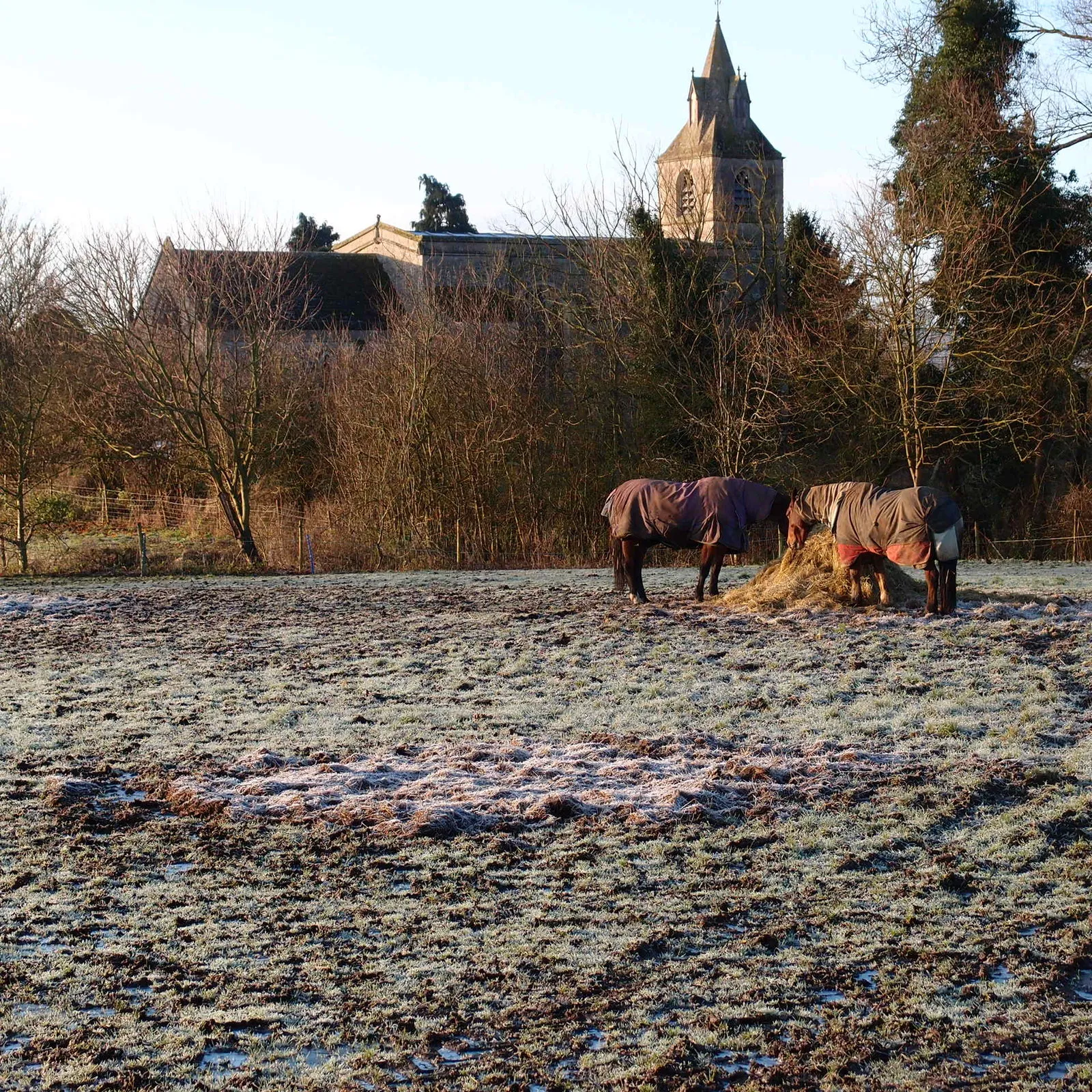 Photo showing: Horses, hay and Luddington Church