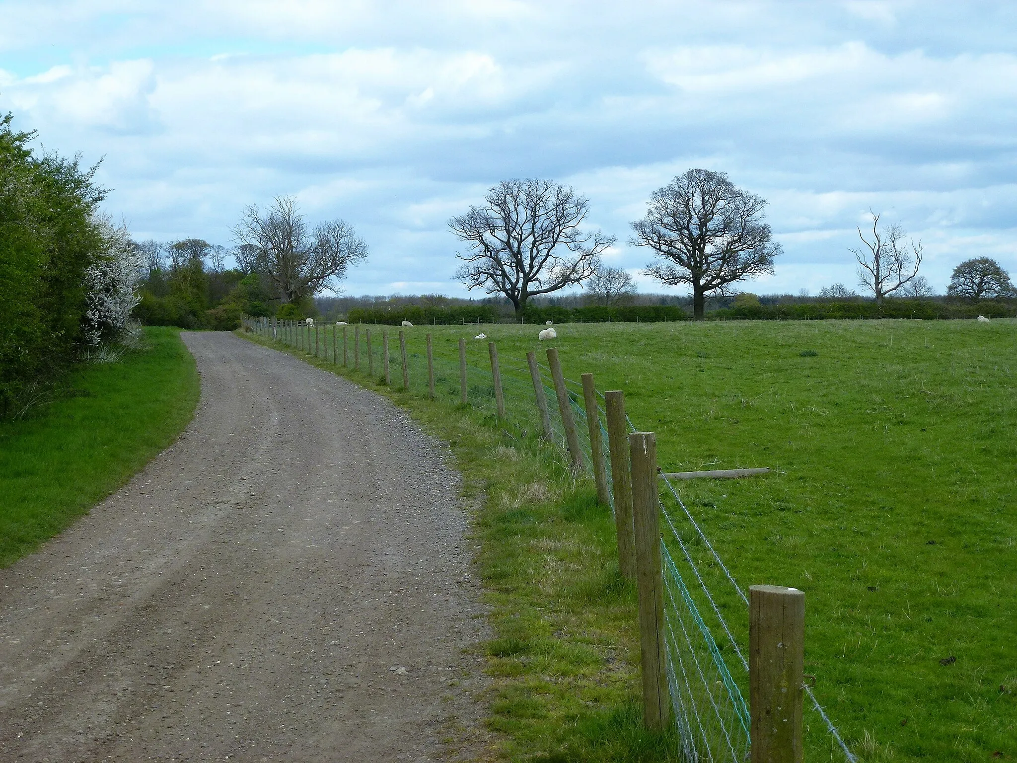 Photo showing: Farmland track east of Warkton