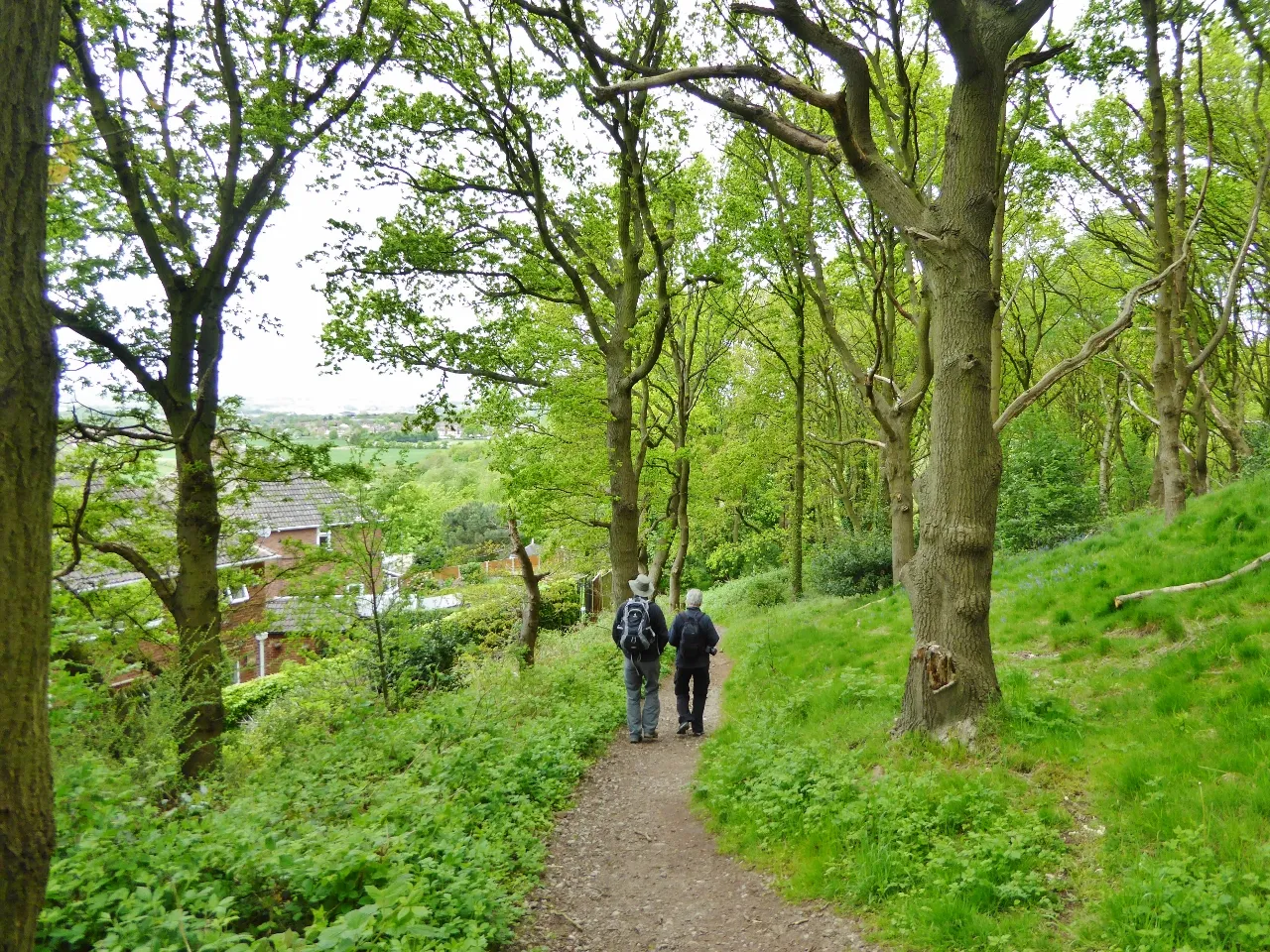 Photo showing: Walking in woods below Stapleford Hill