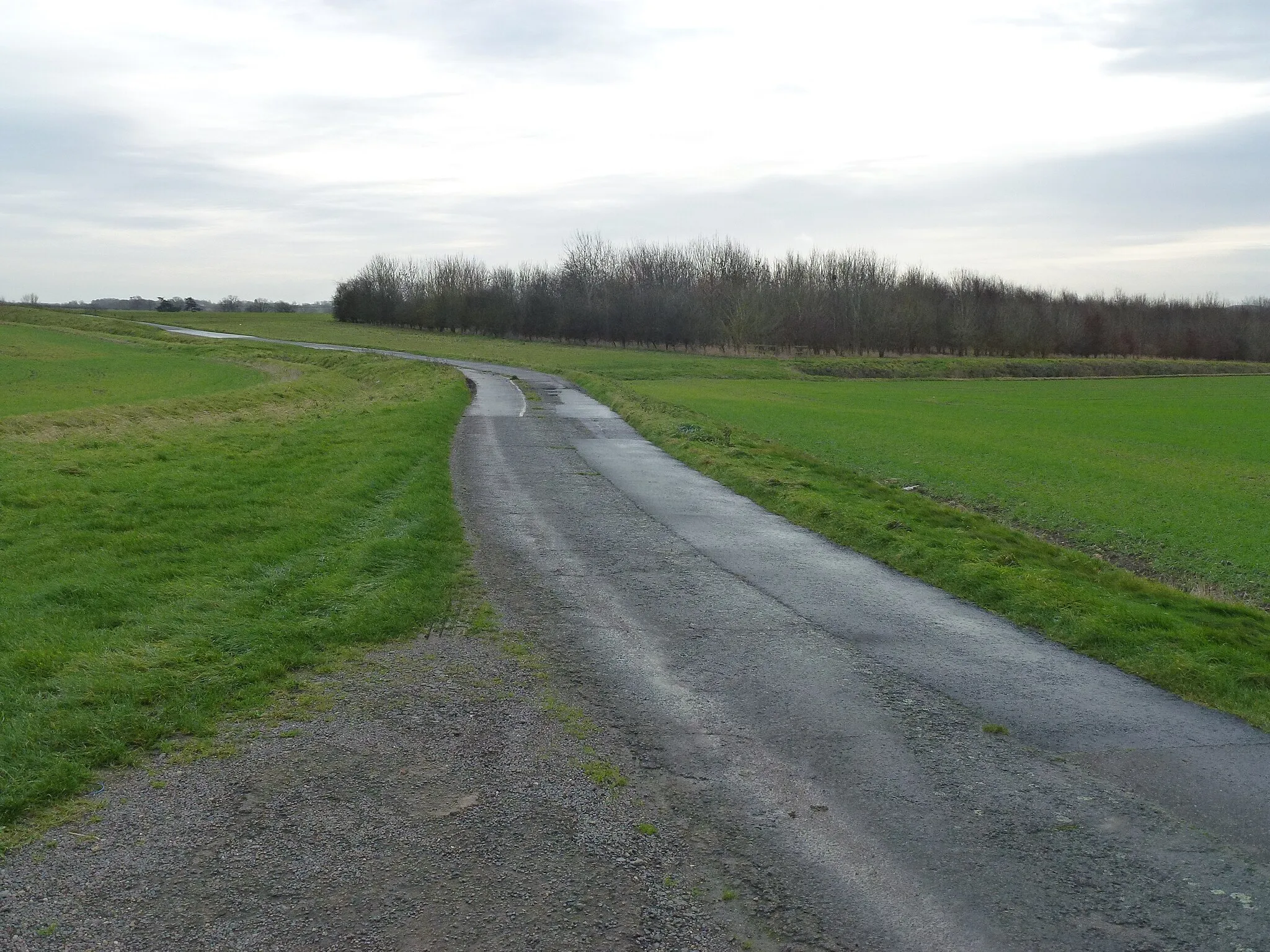 Photo showing: Lane leading to Wigsthorpe