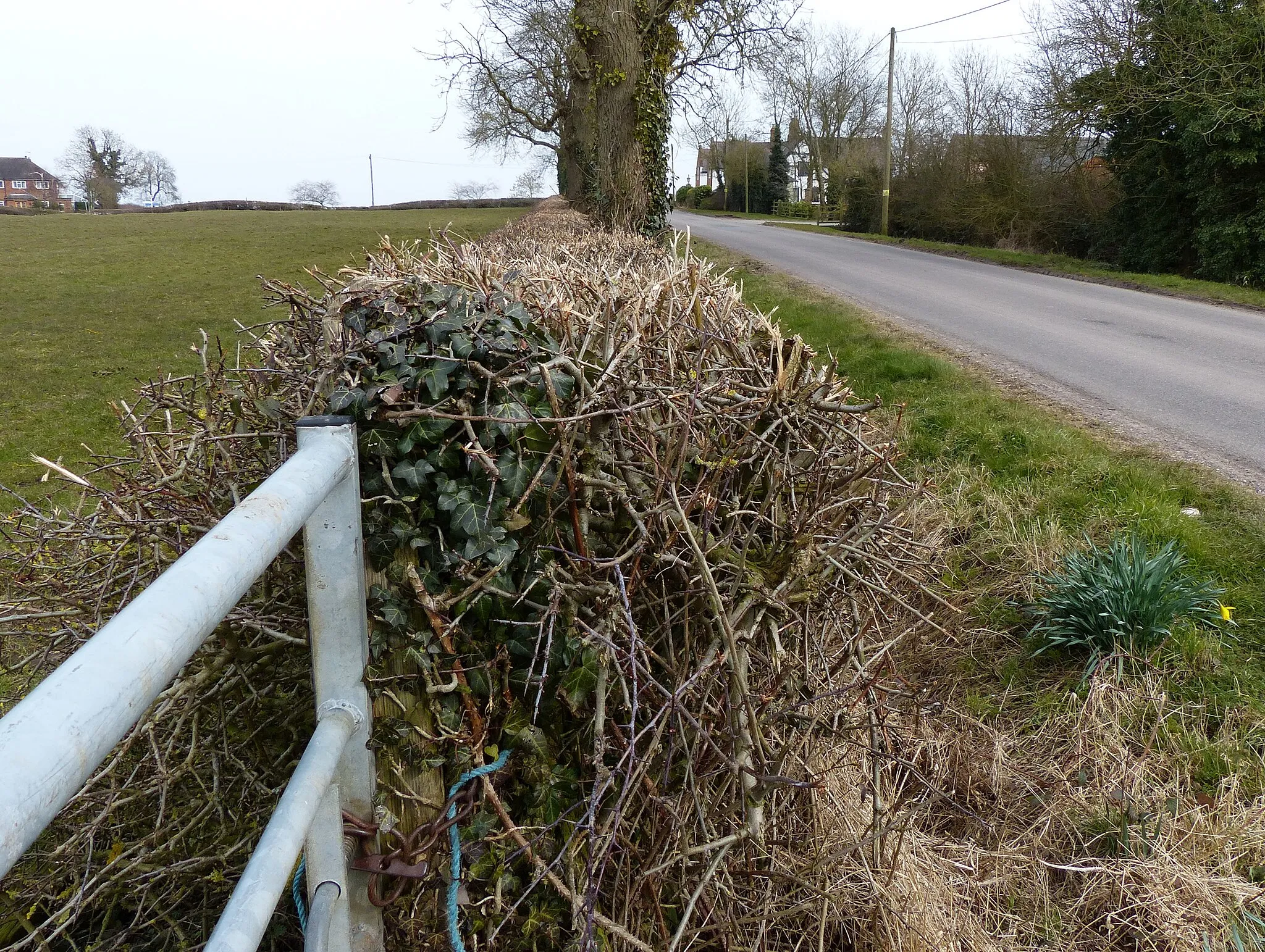 Photo showing: Ashby Road near Meadowlands Farm