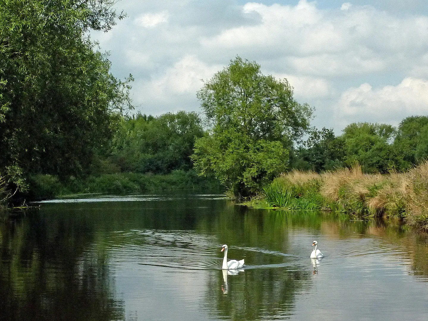 Photo showing: The River Soar near Mountsorrel, Leicestershire