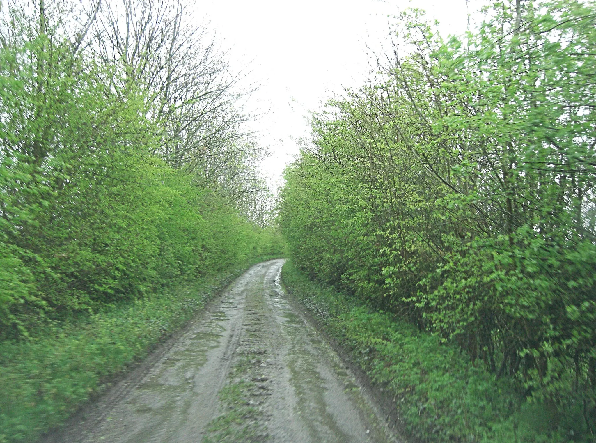 Photo showing: Barley Hill, Culworth