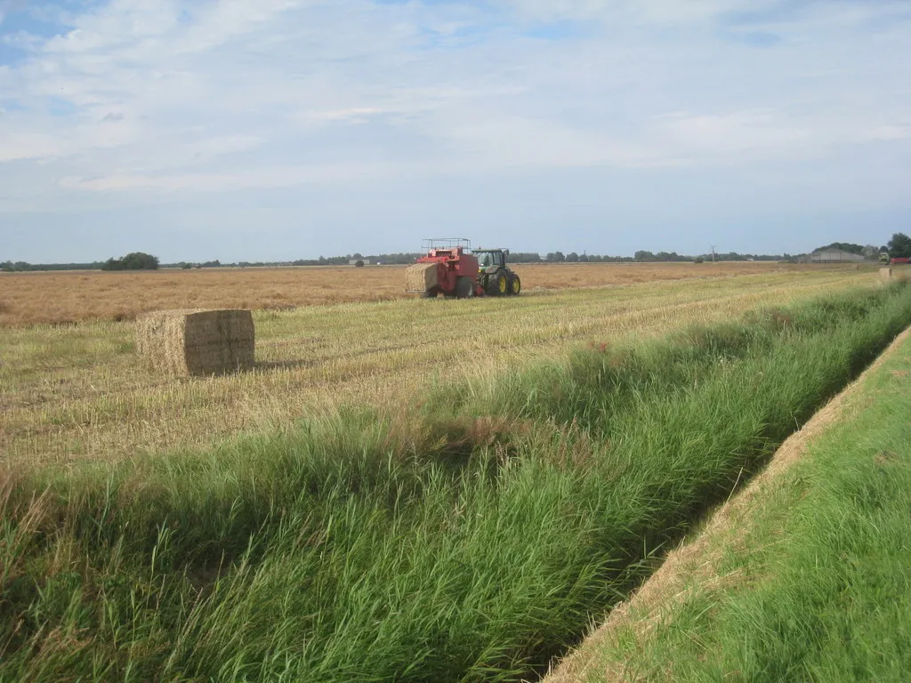 Photo showing: Baling straw from oilseed rape, Meers Bank Farm