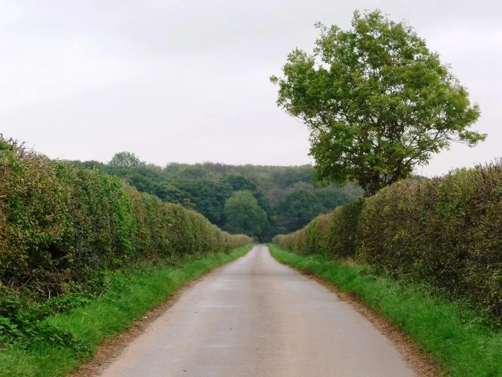 Photo showing: A Rutland lane