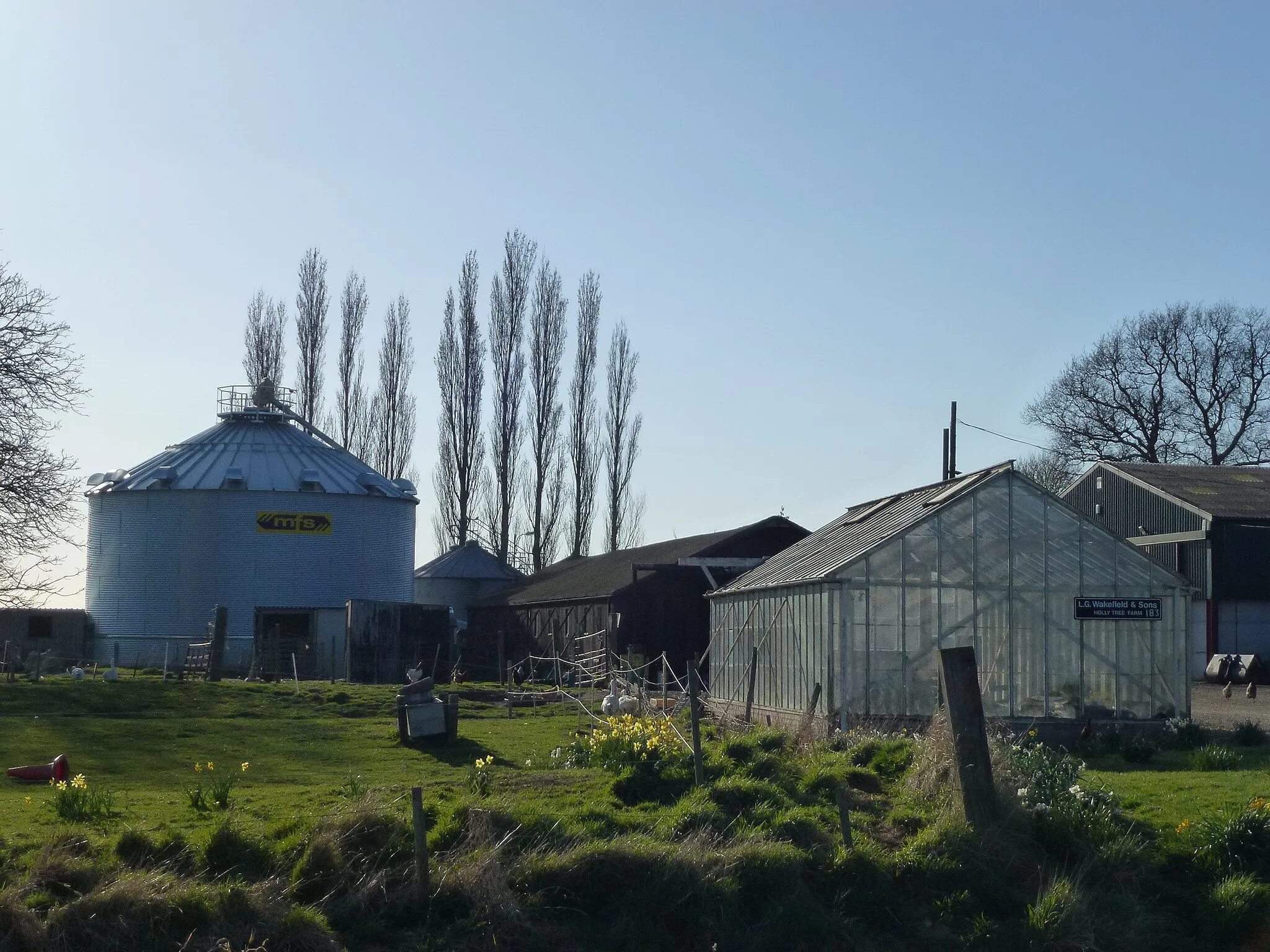 Photo showing: Holly Tree Farm on Eaugate Road, Moulton Chapel