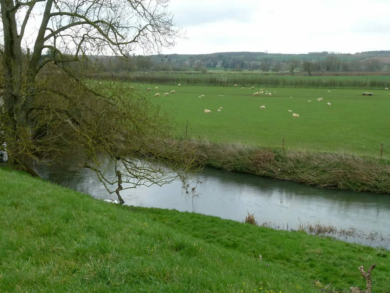 Photo showing: River Welland at Tixover