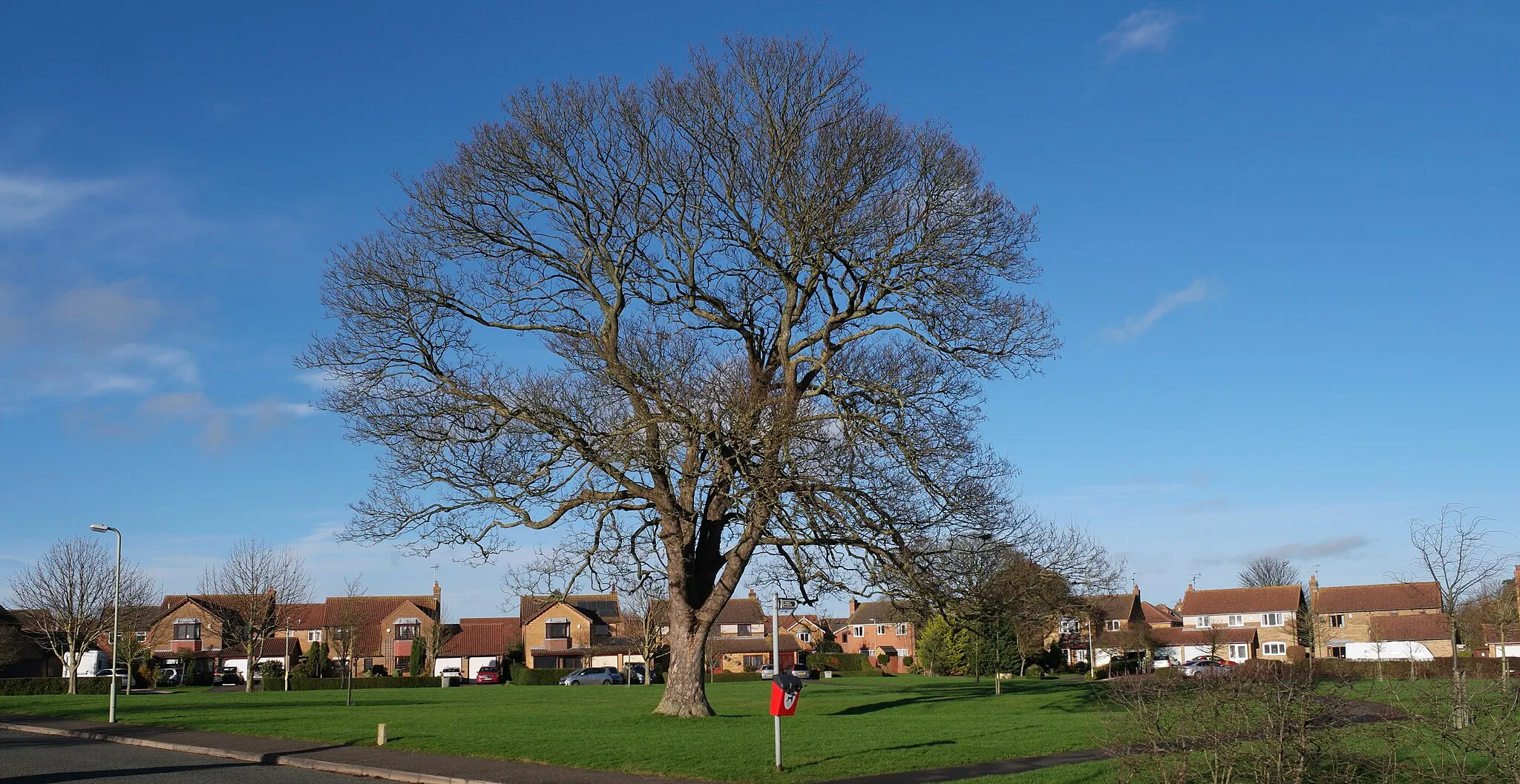 Photo showing: New Village Green