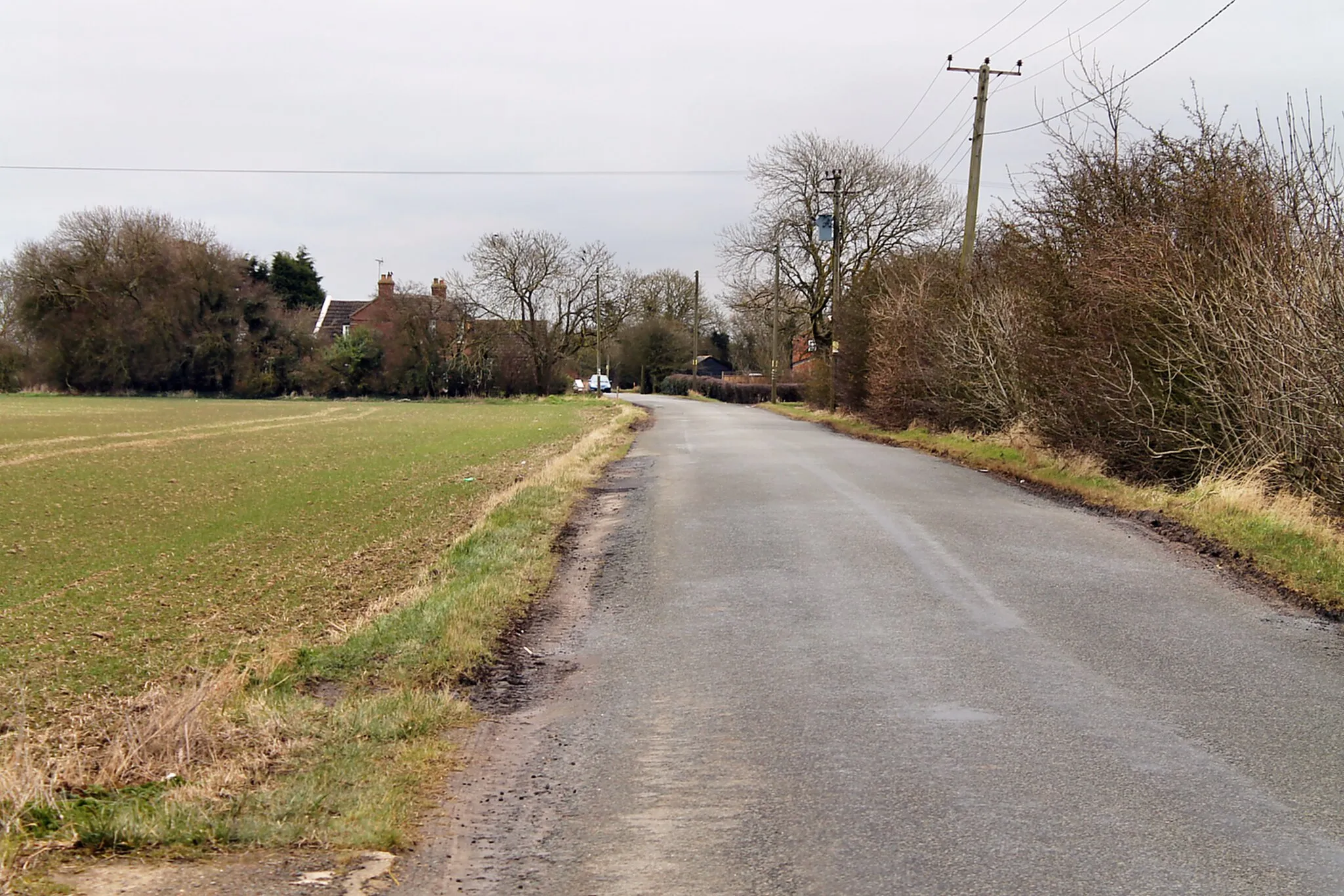 Photo showing: Jekil's Bank towards Holbeach St Johns