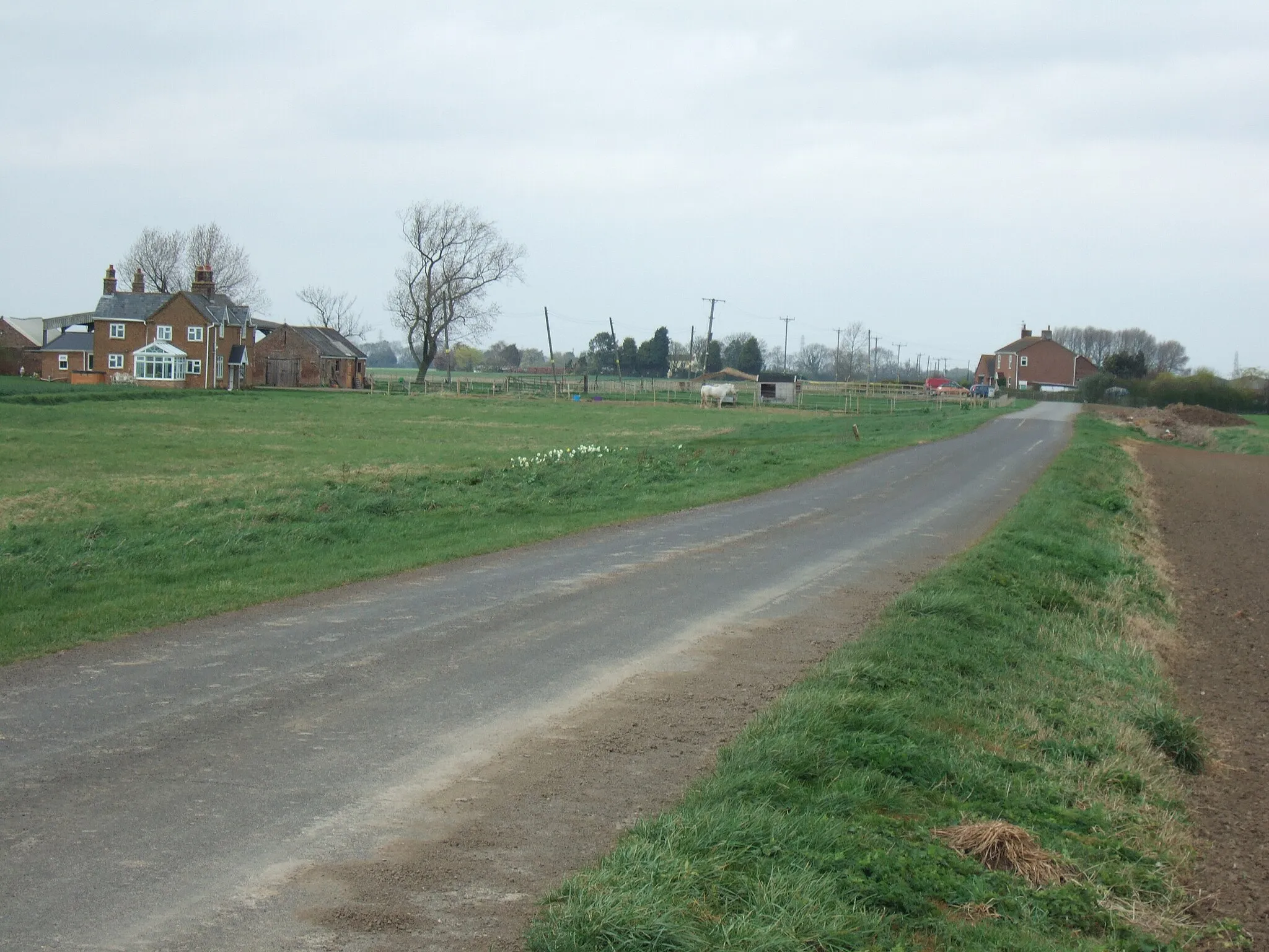 Photo showing: Langary Gate Road, Holbeach St Johns