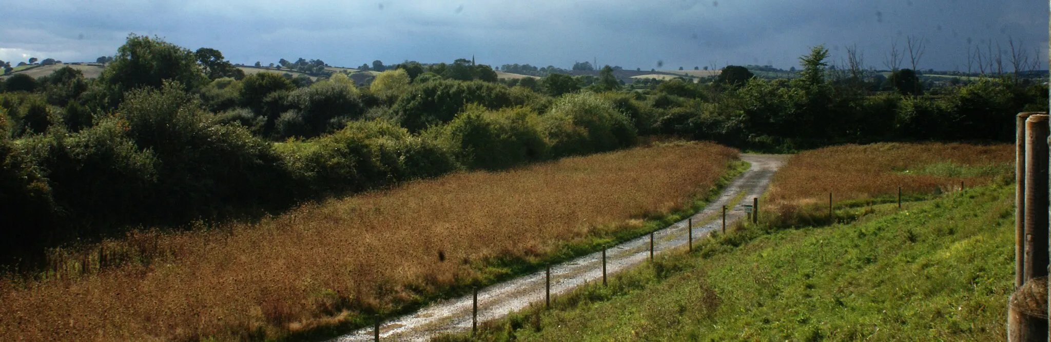 Photo showing: View of the path leading back to the Visitors Centre from Snipe Hide in Rutland Water Nature Reserve