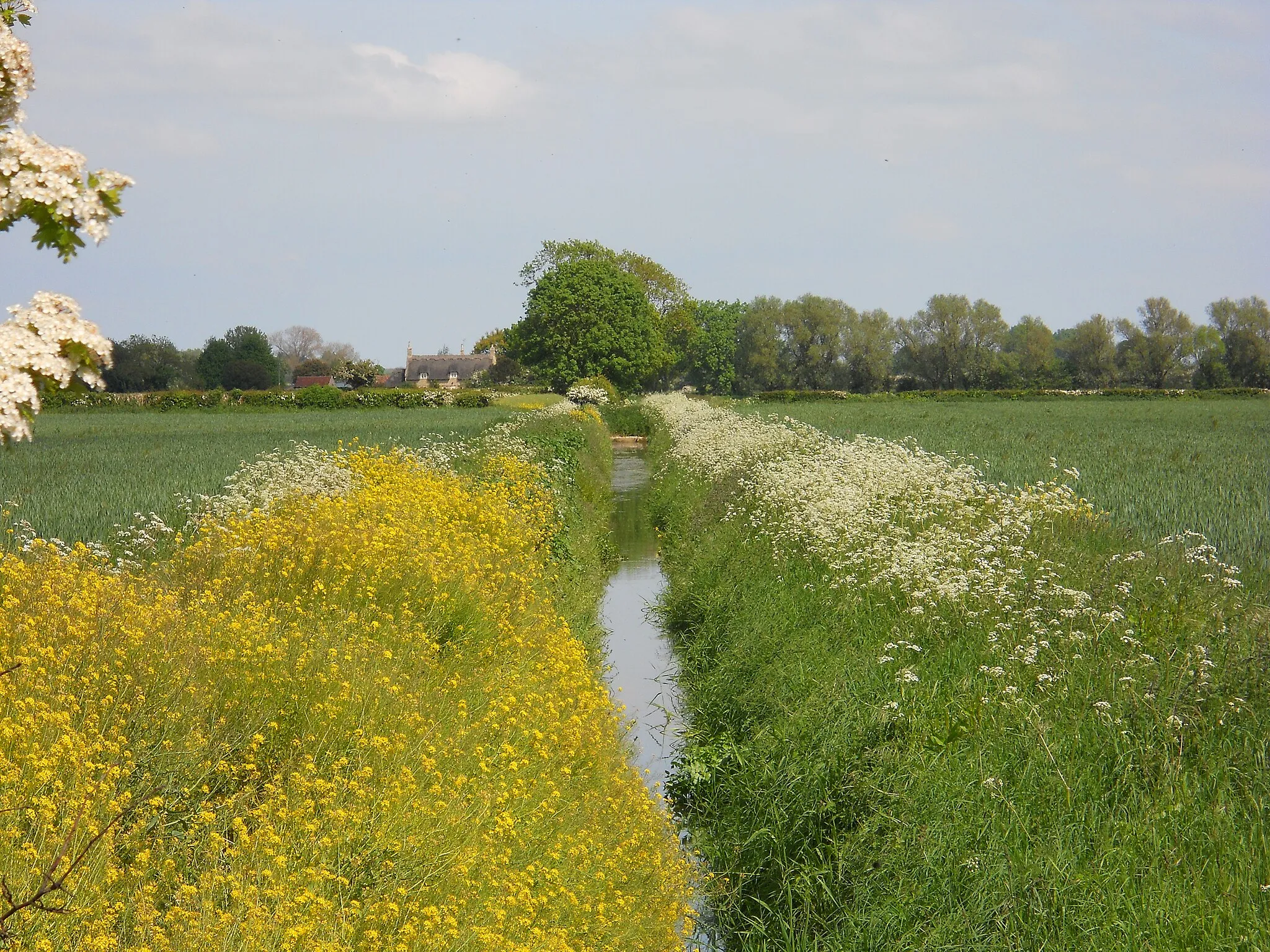 Photo showing: Drain near Northborough