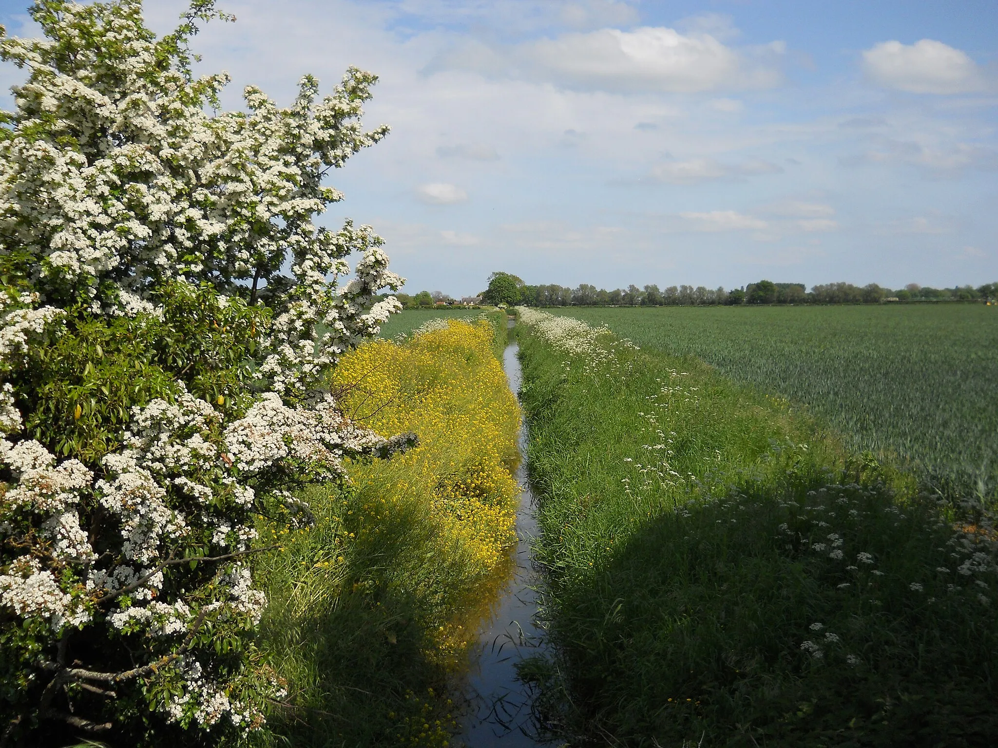 Photo showing: Drain near Northborough