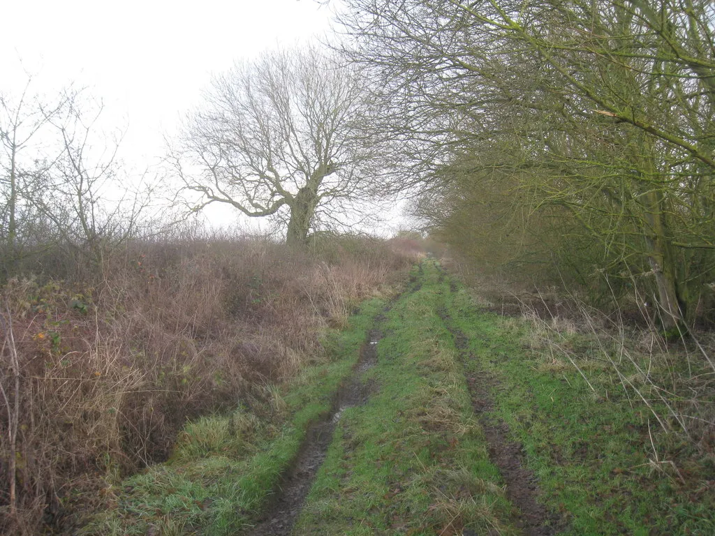 Photo showing: Bridleway between Gibbet Lane and Mill Lane