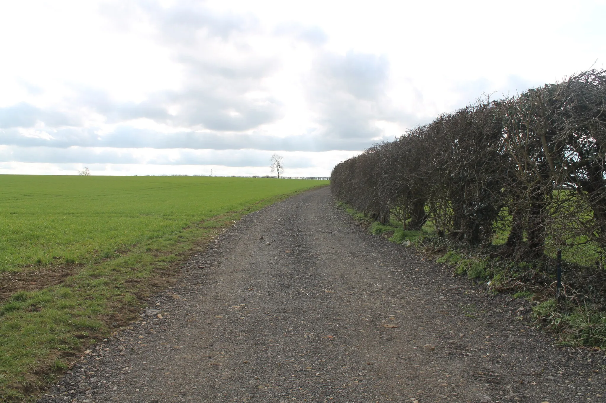 Photo showing: Farm Track off Hall Lane