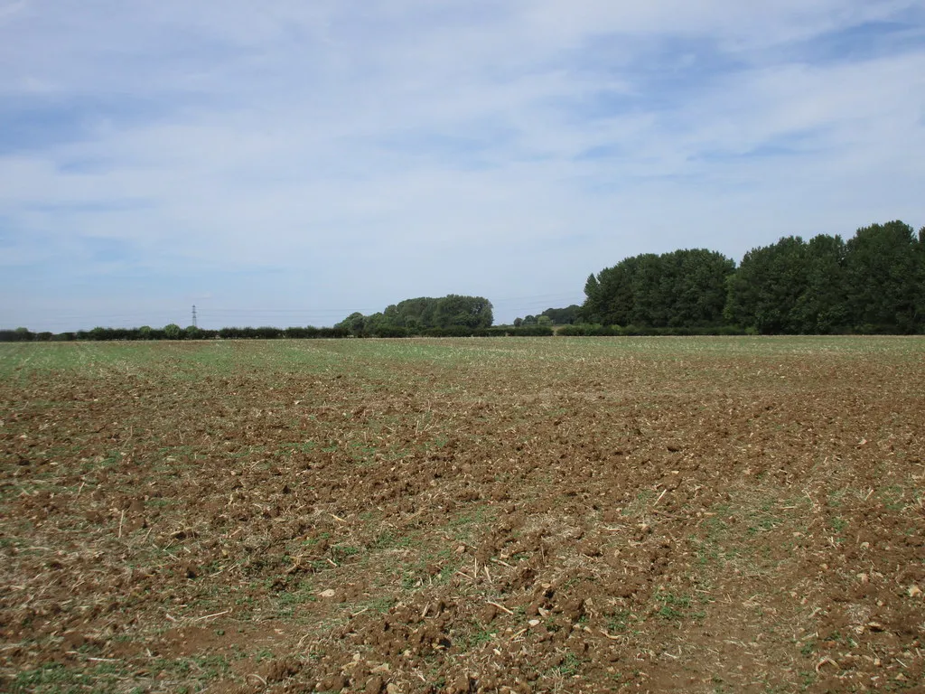 Photo showing: After the harvest, Riseholme