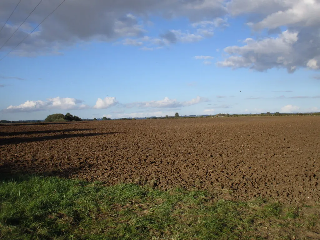 Photo showing: Ploughed field at Beckering