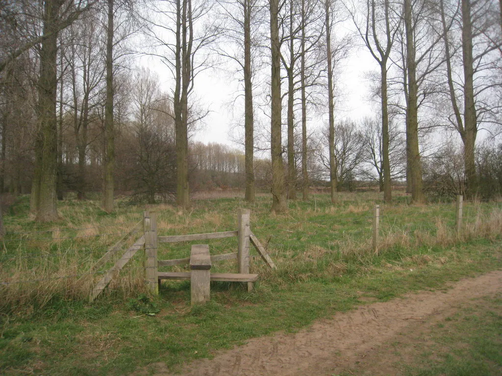 Photo showing: A stile but no footpath