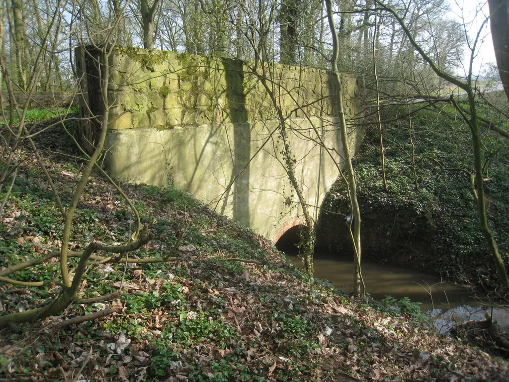 Photo showing: Bridge in Hopyard Plantation