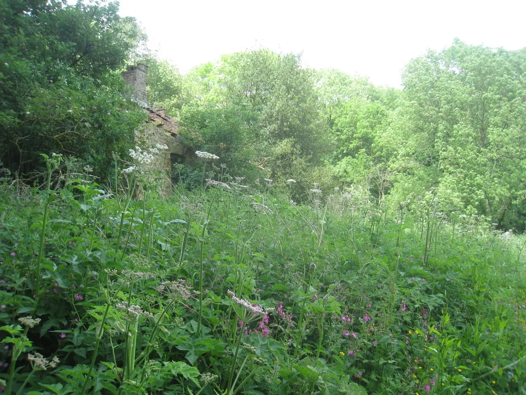 Photo showing: Abandoned cottage