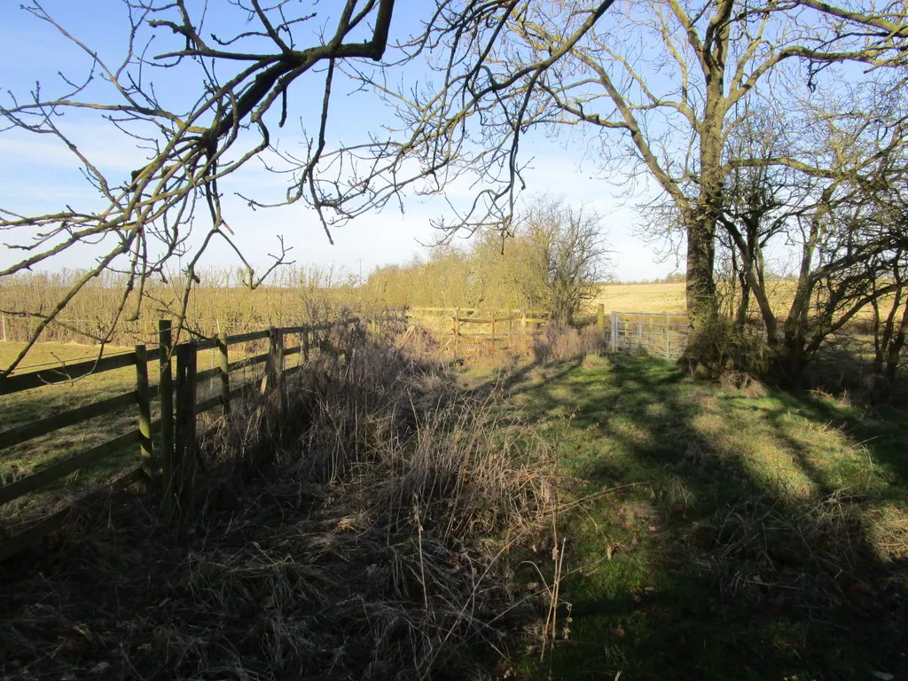 Photo showing: Access to three fields