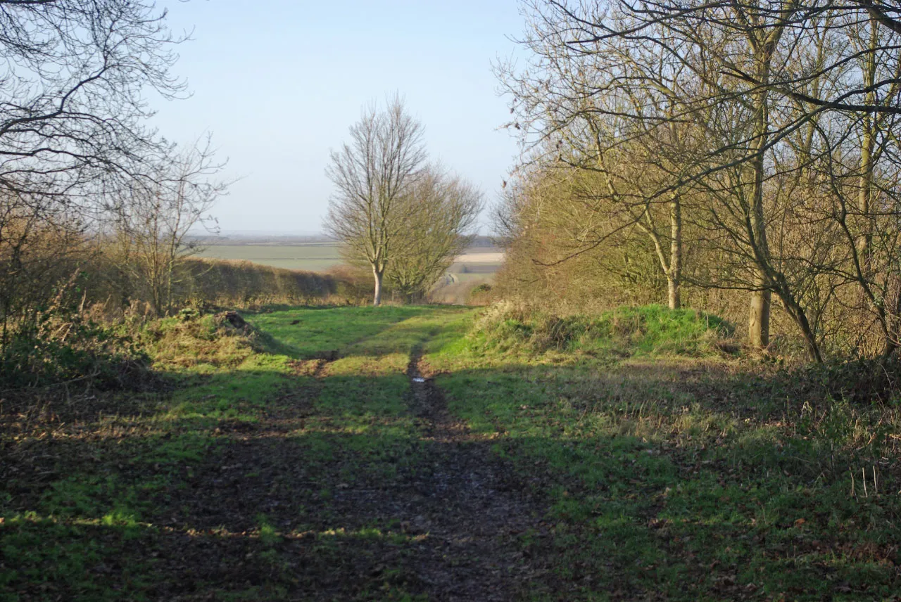 Photo showing: Bridleway towards Ranby