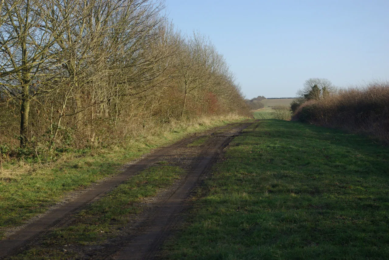 Photo showing: Bridleway to Asterby Grange
