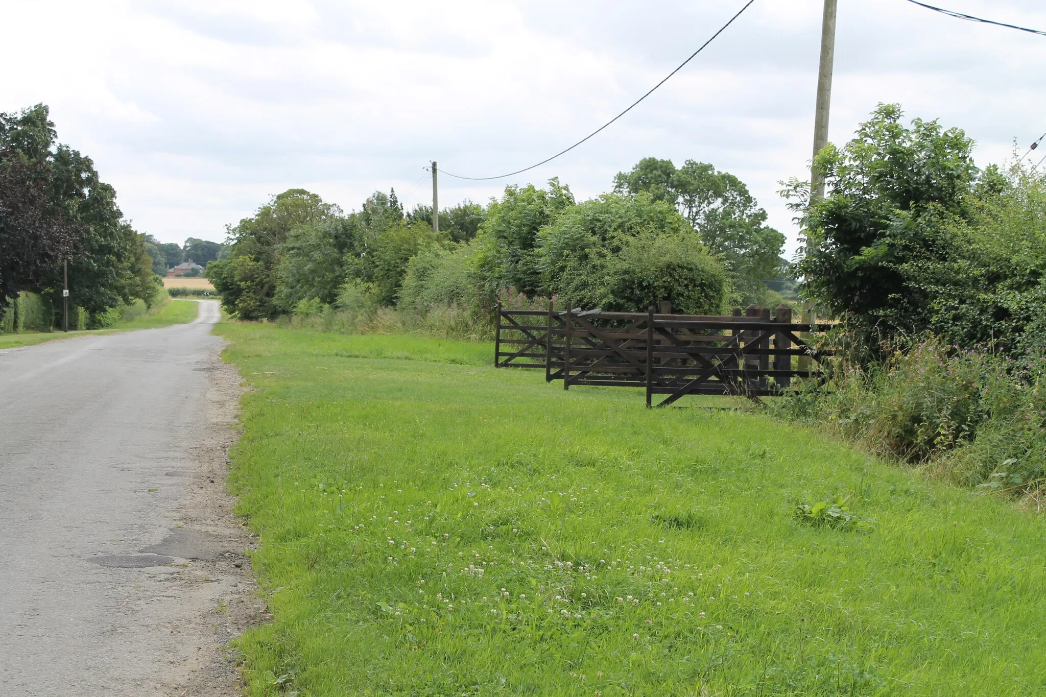 Photo showing: A double field entrance on Torrington Lane