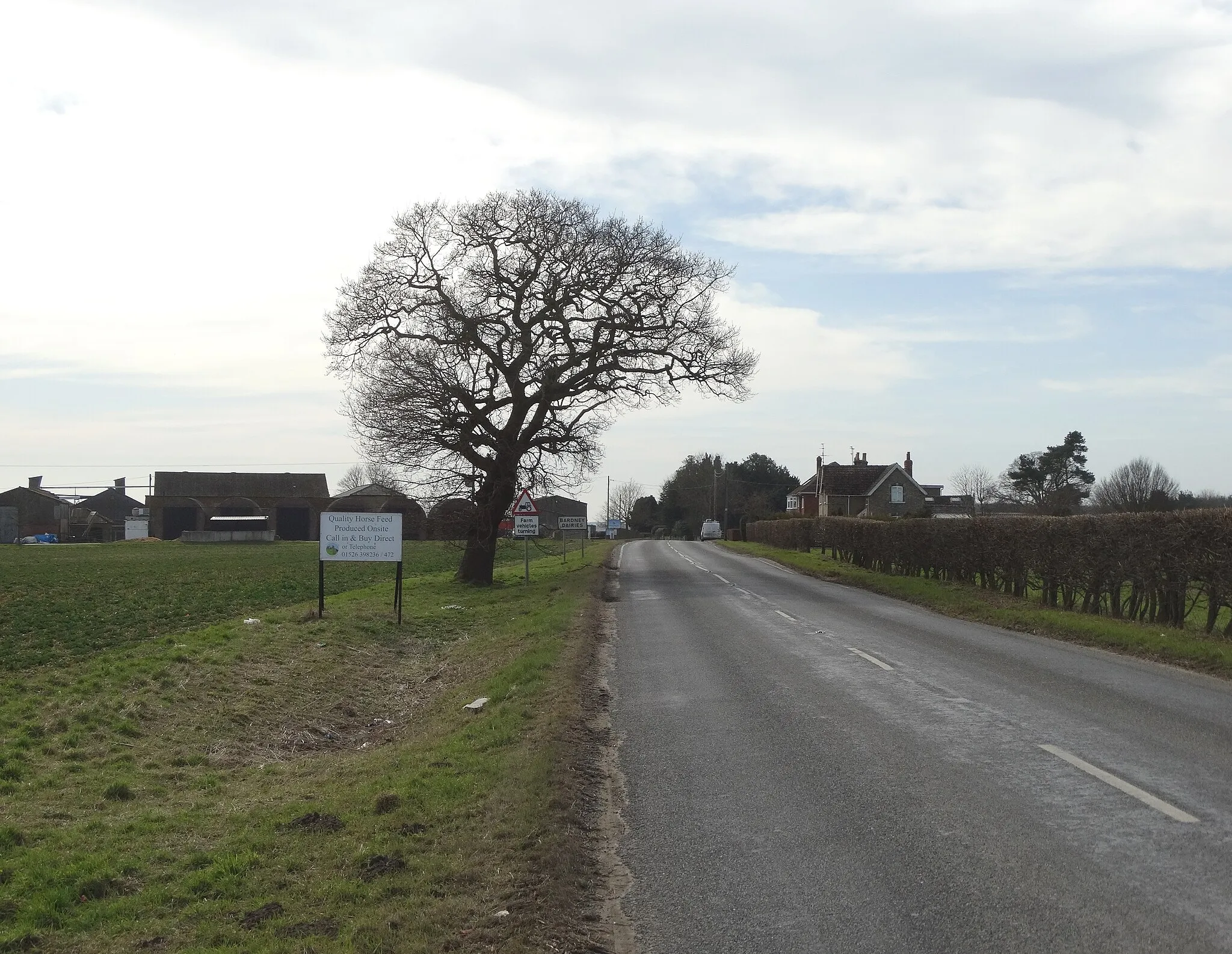 Photo showing: Approaching Bardney Dairies from the north