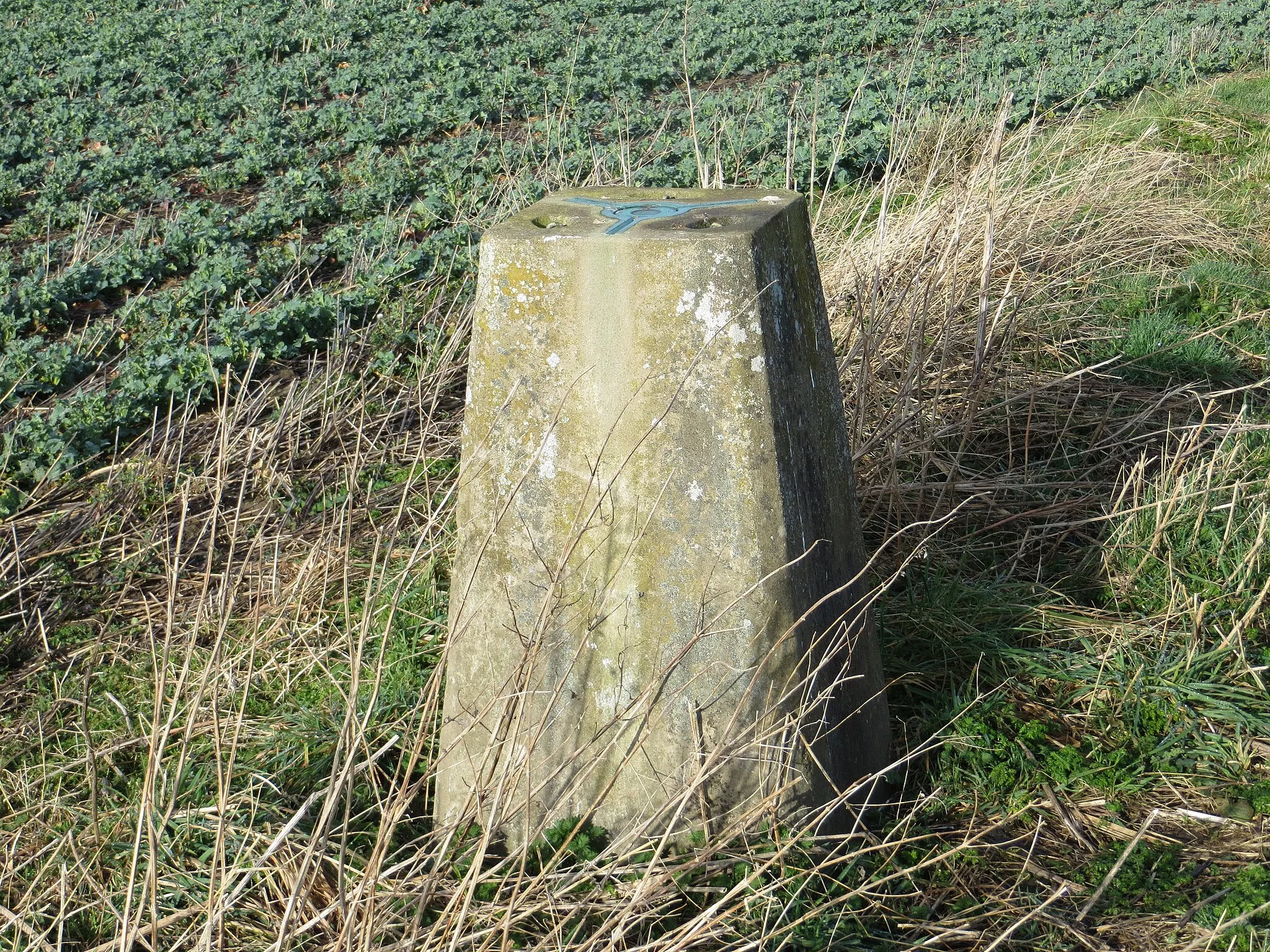 Photo showing: A somewhat sunken Triangulation Pillar