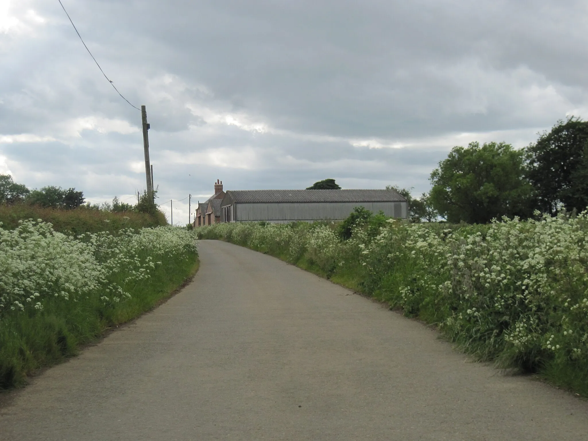 Photo showing: Access  road  to  Carlton  Ashes  Farm