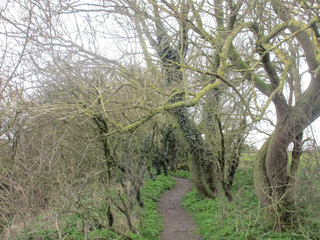 Photo showing: Long Lane, Dry Doddington